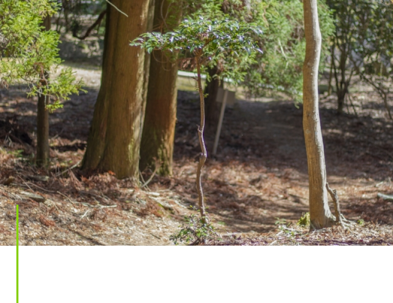 環境保全活動