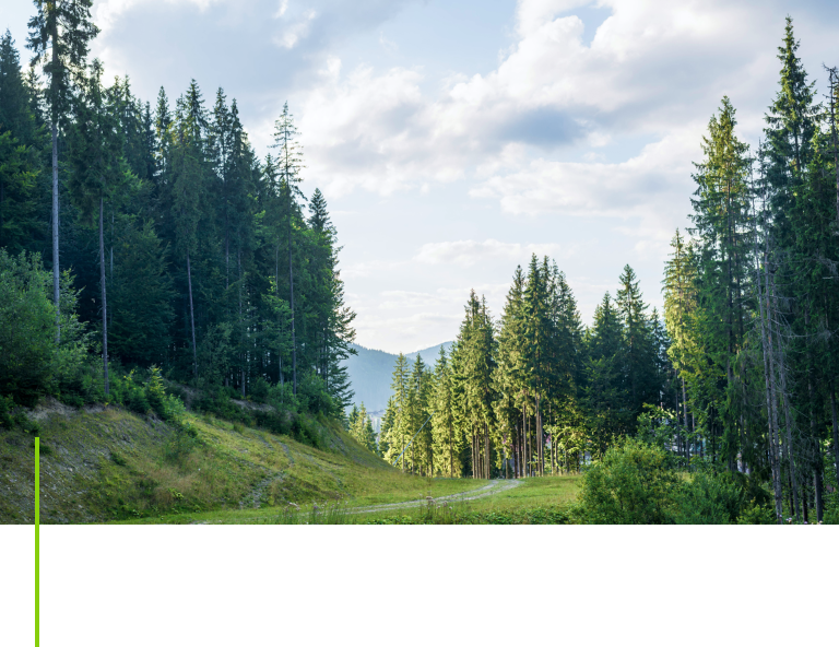 森林レンタル事業