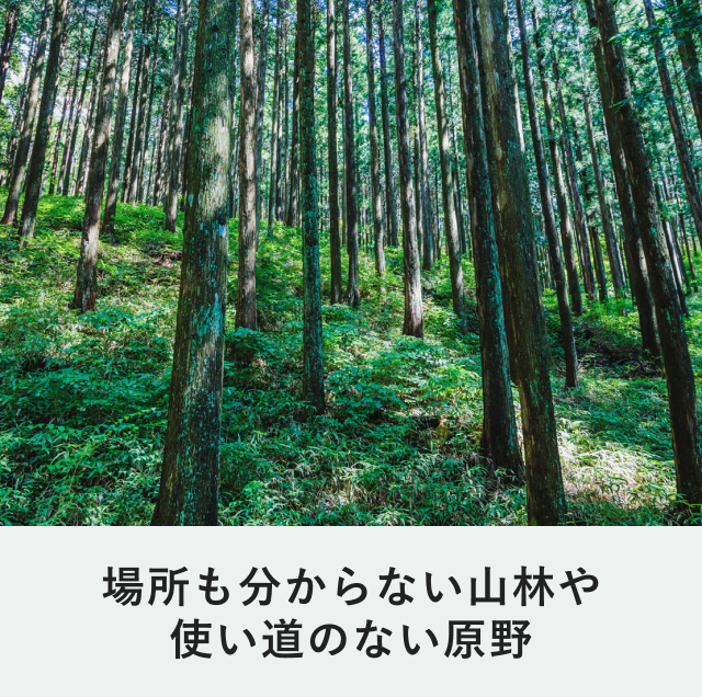 山林・原野
